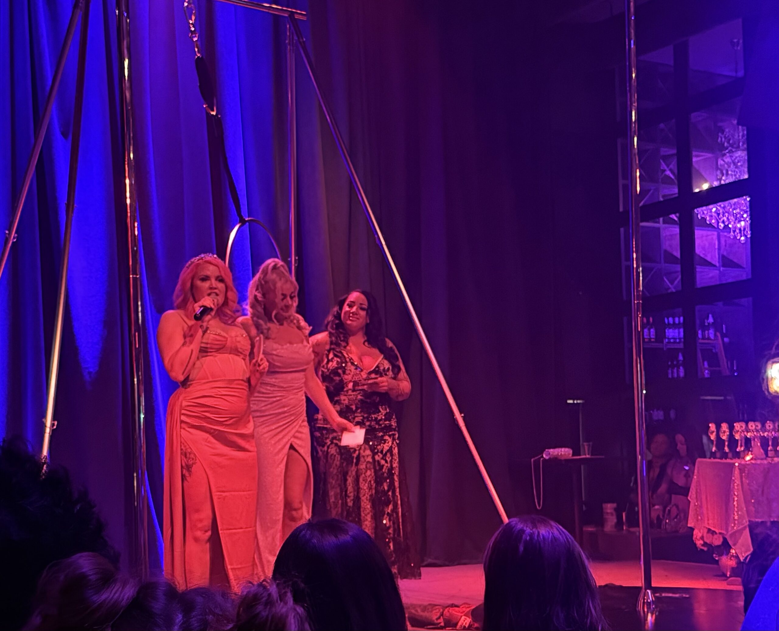 Minneapolis Stripper Guild Gains Momentum